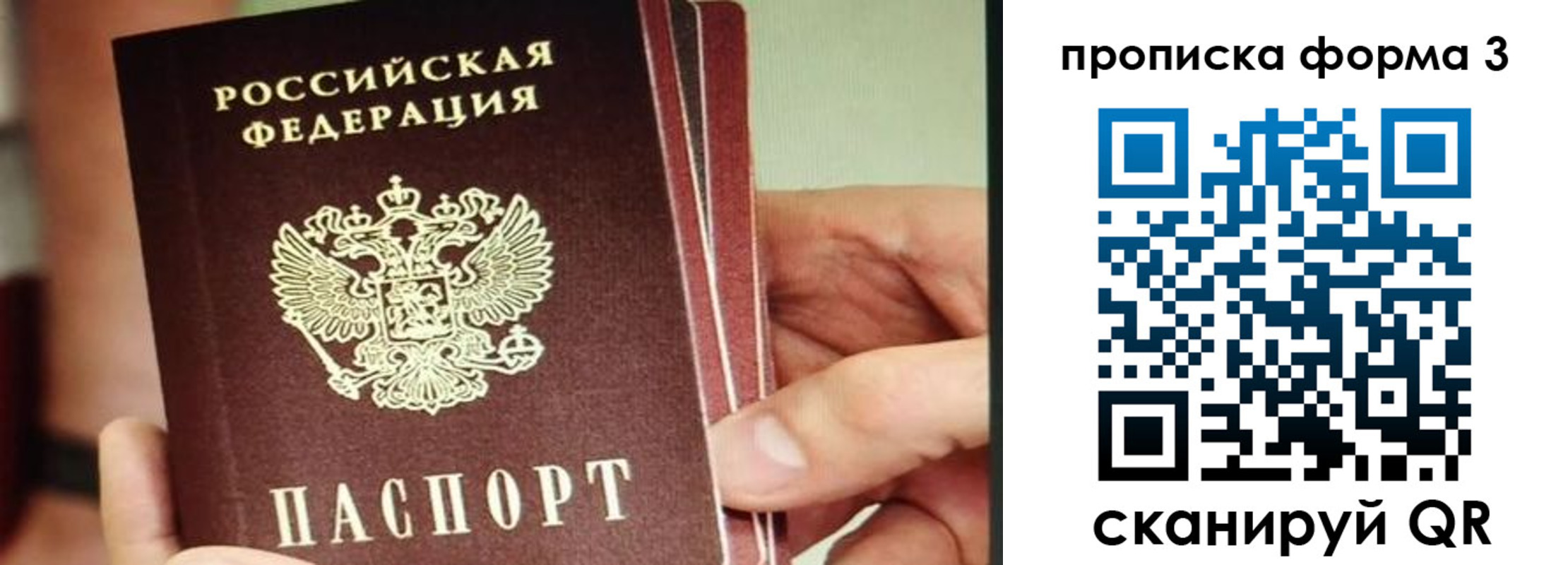 прописка законно в Белой Холунице